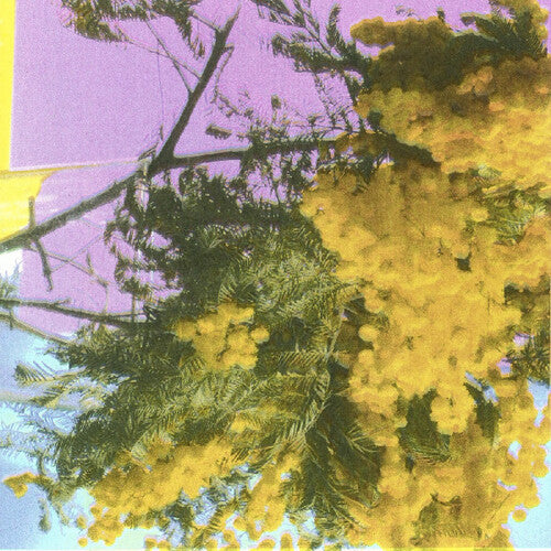 Four Tet - Into Dust (Still Falling) [LP]