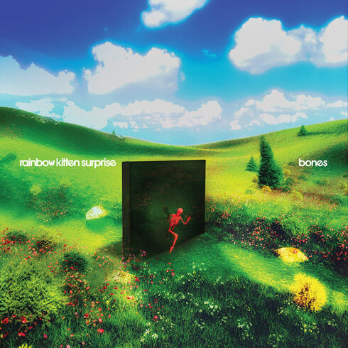 Rainbow Kitten Surprise - Bones [LP - Banana]