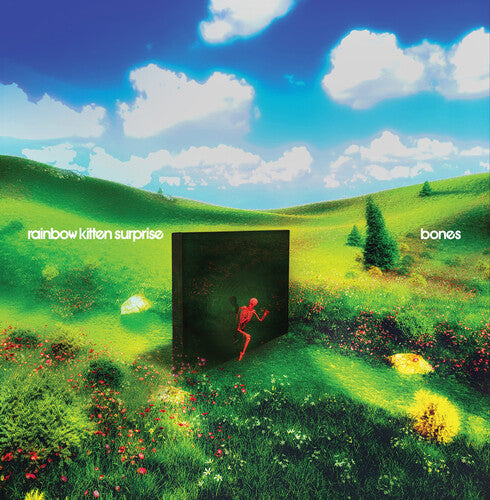 Rainbow Kitten Surprise - Bones [LP - Banana]