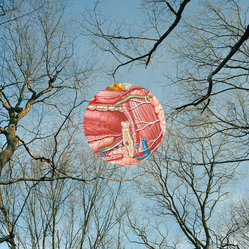 They Might Be Giants - Glean [LP - Red/Clear]