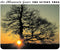Mountain Goats, The - The Sunset Tree [LP - Orange]