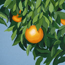 Tyler Ballgame - For The First Time, Again [CD]