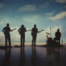 Fearless Flyers, The - The Fearless Flyers V [LP]