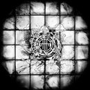 OTTTO - Sweaty Pool [12"]