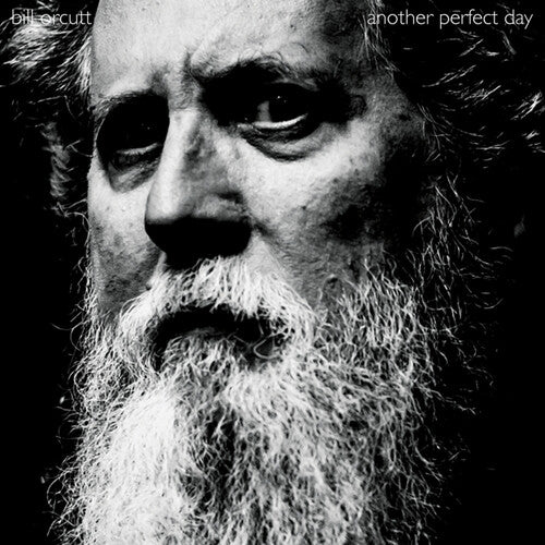 Bill Orcutt - Another Perfect Day [LP]