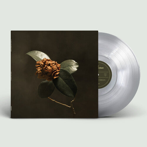 St. Paul & The Broken Bones - Young Sick Camellia [LP - Clear]