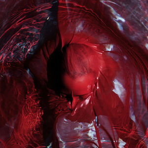 Blackwater Holylight - Not Here Not Gone - Red [LP - Red]