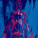 Nirvana - Sliver b/w Dive [7"]