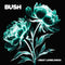 Bush - I Beat Loneliness [CD]