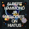 Albert Hammond Jr. - Melodies On Hiatus [2xLP - 180g]