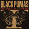 Black Pumas - Chronicles Of A Diamond [LP - Cloudy Red]