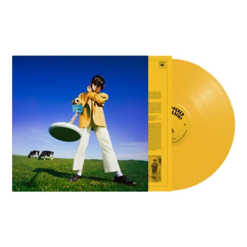 Declan McKenna - What Happened To The Beach? [LP - Yellow]