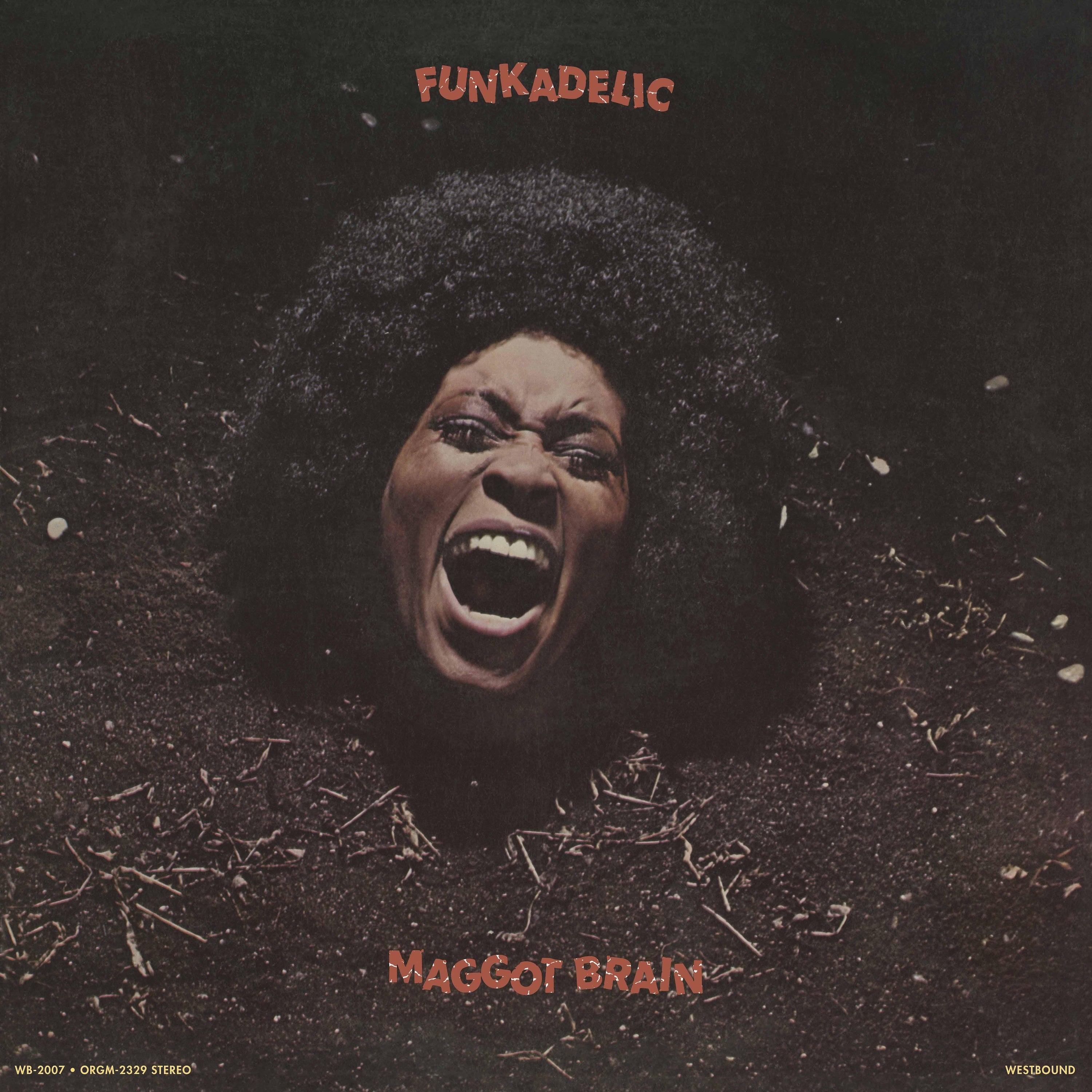 Funkadelic - Maggot Brain [LP - Solar Flare]