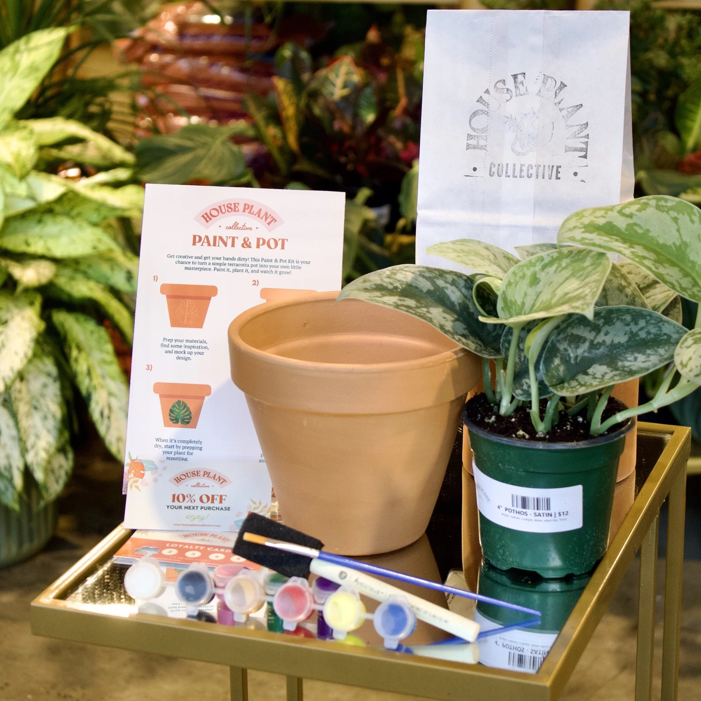Seasick Records x House Plant Collective - Plantasia Listen, Paint & Pot [LP + Event]