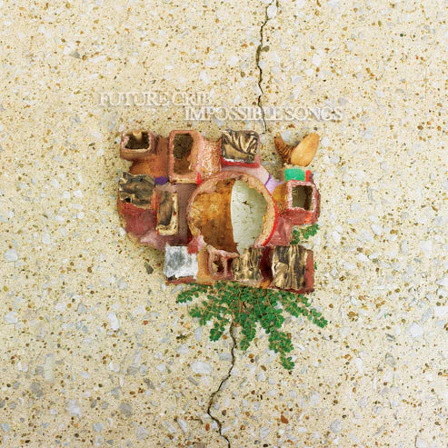 Future Crib - Impossible Songs [LP]