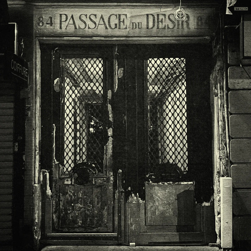 Johnny Blue Skies - Passage du Desir [LP]