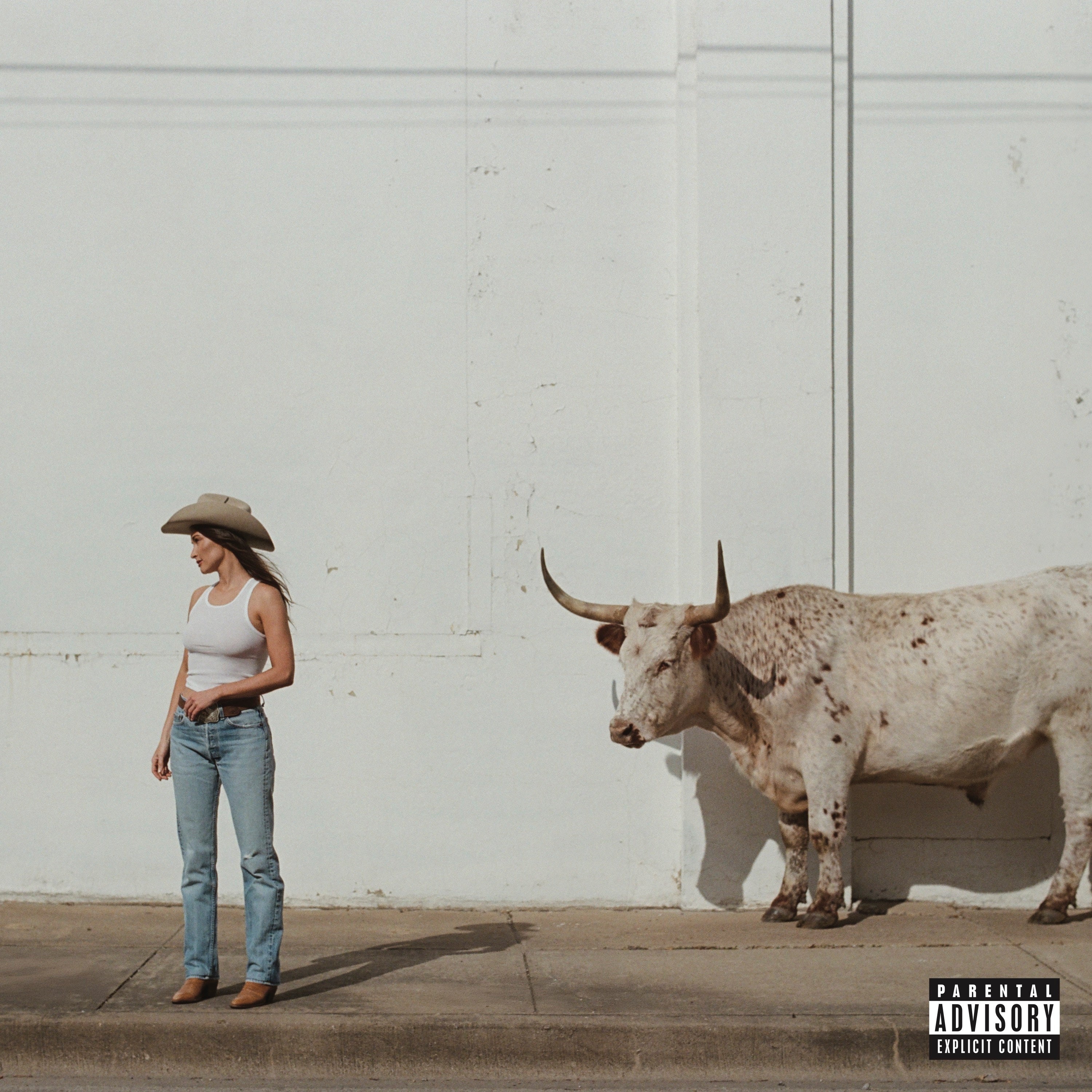 Kacey Musgraves - Middle of Nowhere [CD]