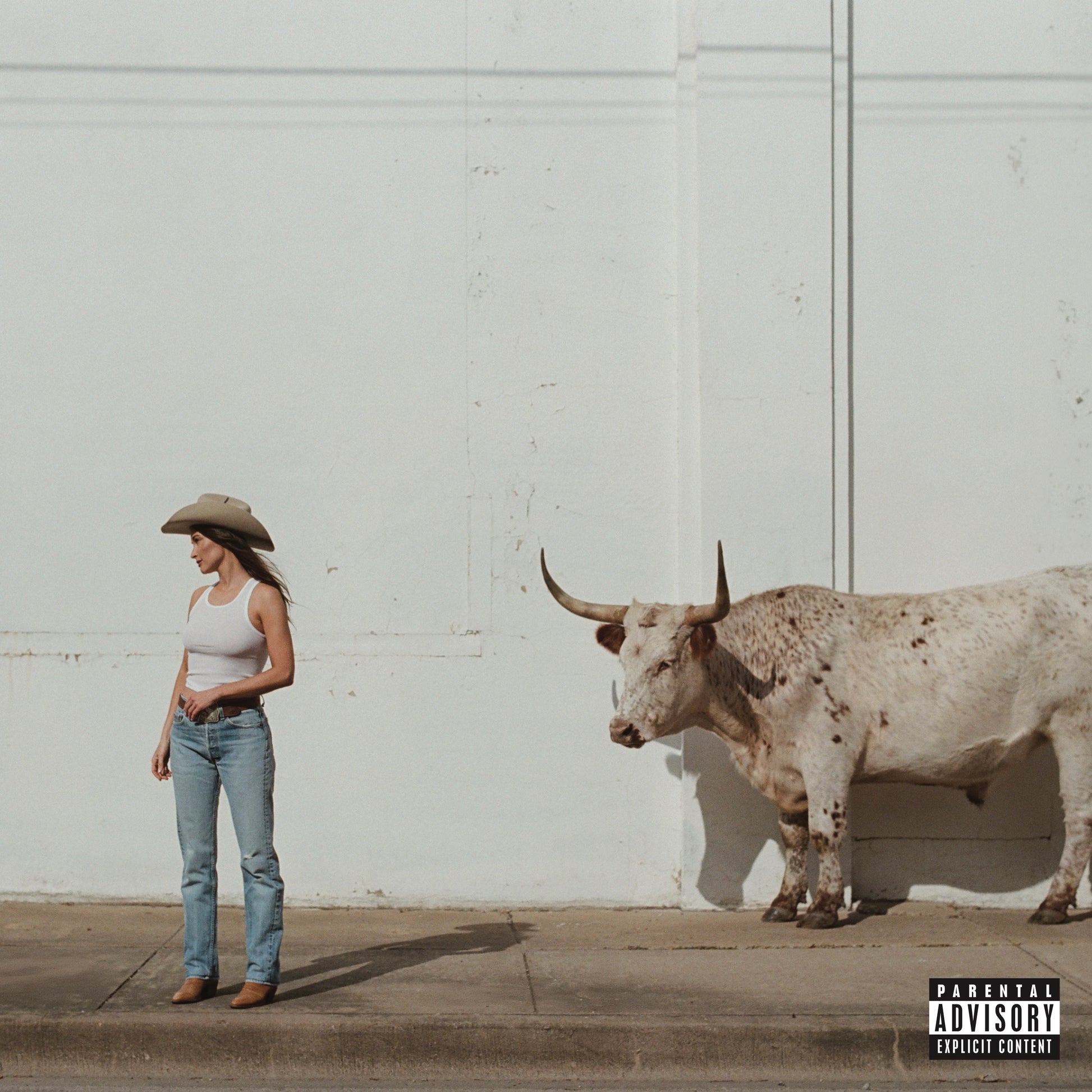 Kacey Musgraves - Middle of Nowhere [CD]