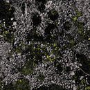 King Gizzard & The Lizard - Infest The Rats Nest (Live At Red Rocks) [LP - Glow In The Dark]