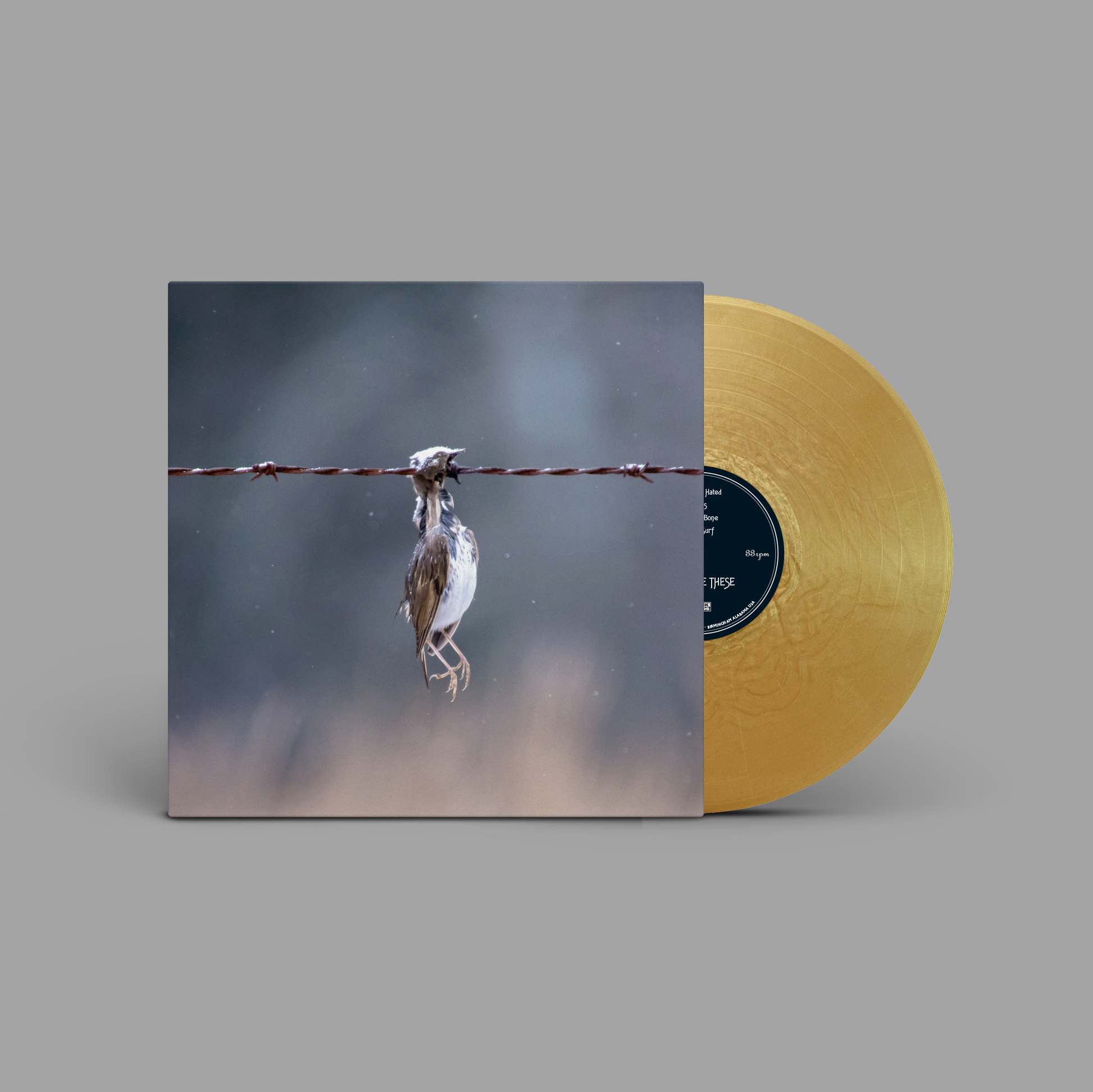 Nights Like These - Old Youth Culture [LP - Gold Nugget]