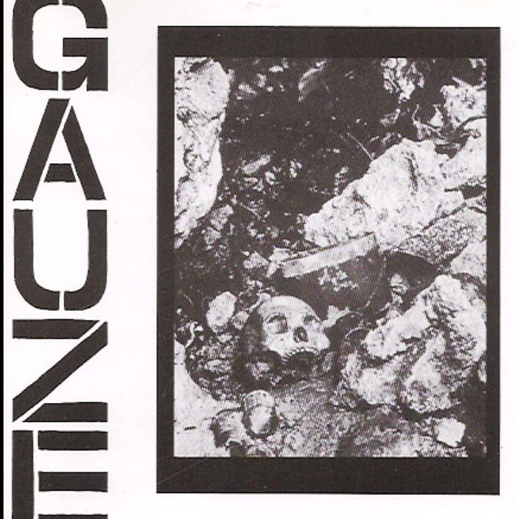 Gauze - Equalizing Distort [LP]