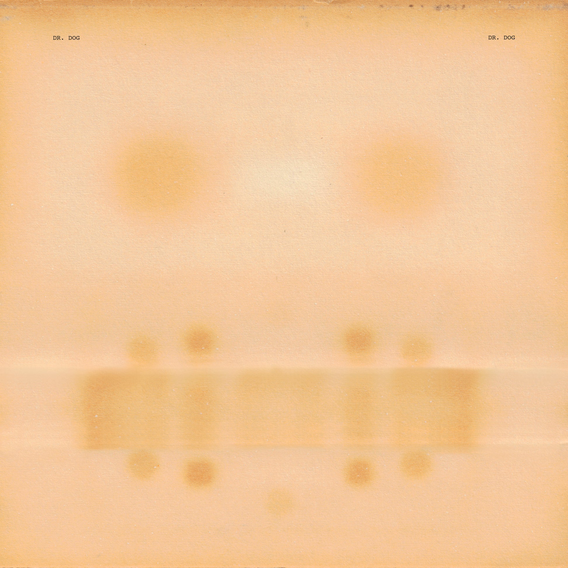 Dr. Dog - Dr. Dog [LP]