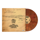 Mountain Grass Unit - Runnin' From Trouble [LP - Color]