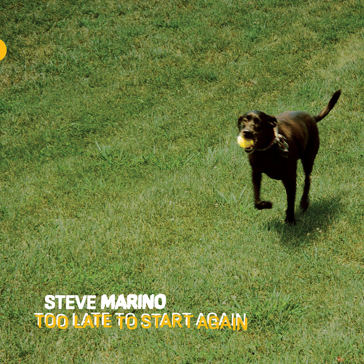 Steve Marino - Too Late To Start Again [LP]