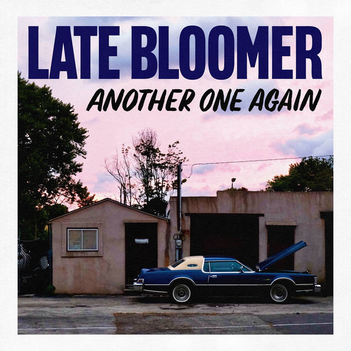 Late Bloomer - Another One Again [LP]
