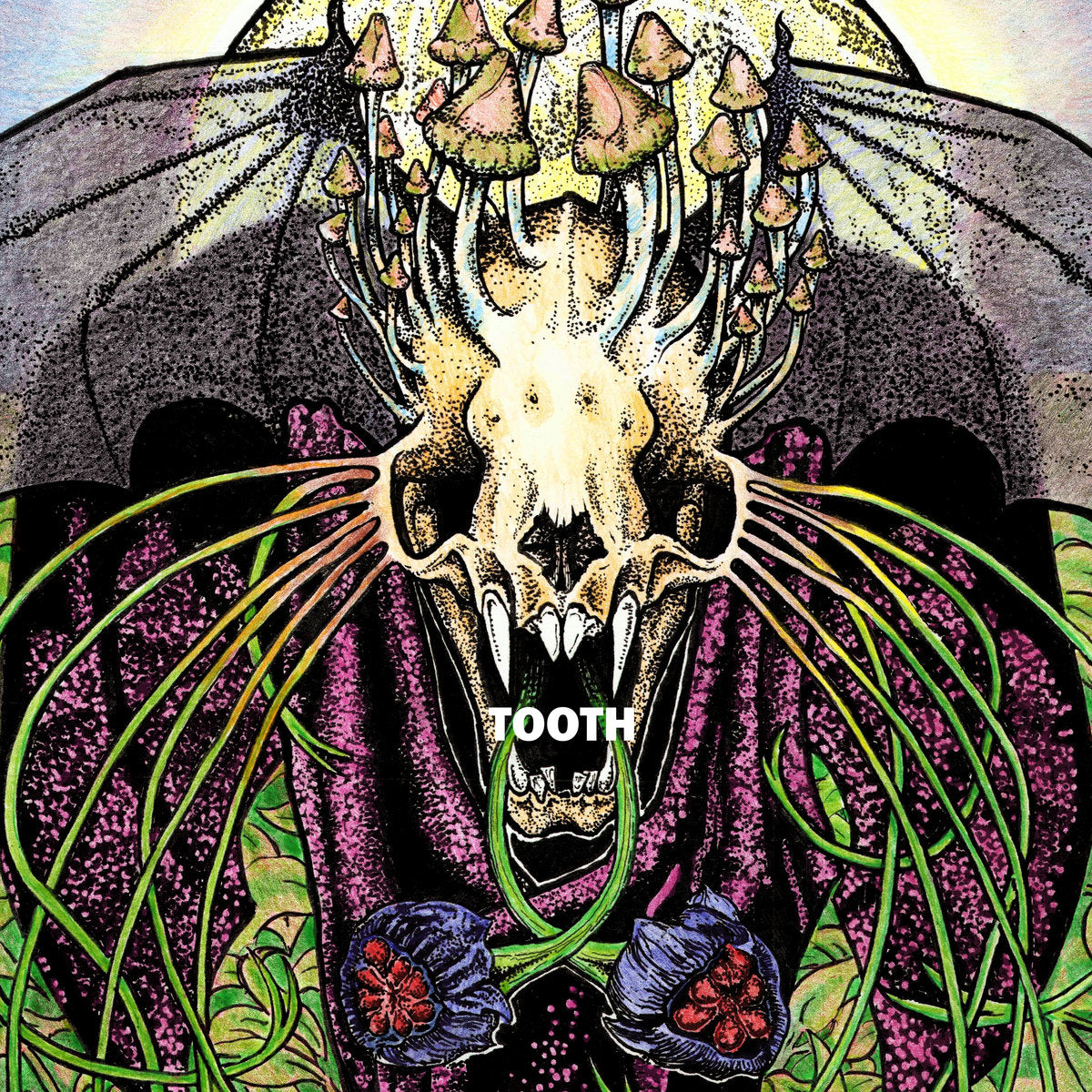 Tooth - Tooth [LP]