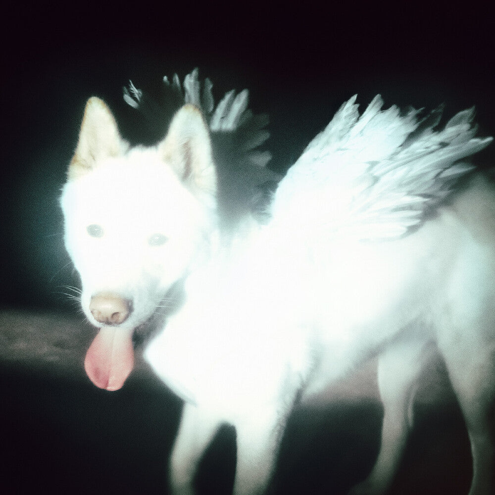 Fat Dog - Cancel Me - I'm Tired [LP - Coke Bottle Clear]