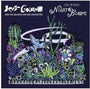 Jeff Goldblum & the Mildred Snitzer Orchestra - Night Blooms (Autographed) [LP]