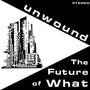Unwound - The Future of What [CD]