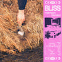 Harrison Gordon - BLISS [CD]
