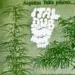 Augustus Pablo - Ital Dub [LP]