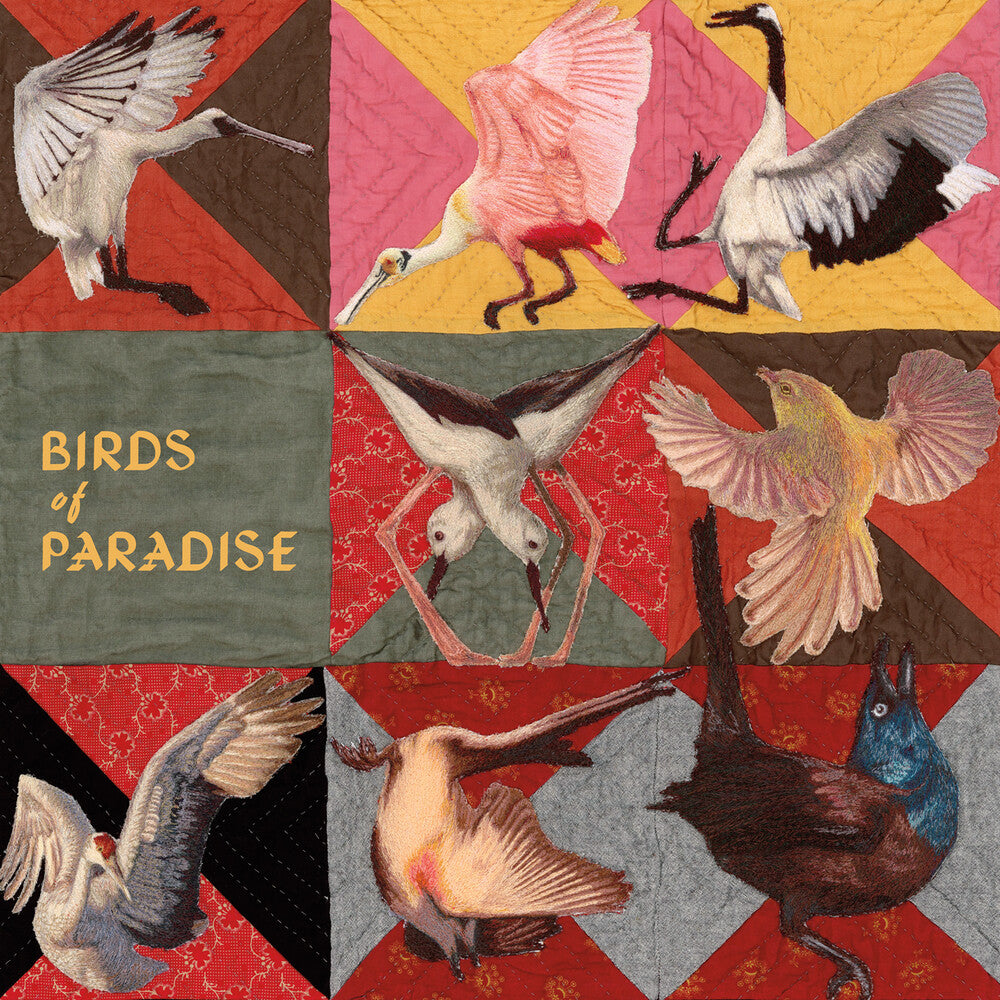 Thomas Dollbaum - Birds of Paradise [LP - Pink]