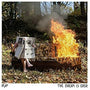 PUP - Dream Is Over [LP - Red/Orange Swirl]