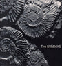 Sundays, The - Reading Writing And Arithmetic [LP]