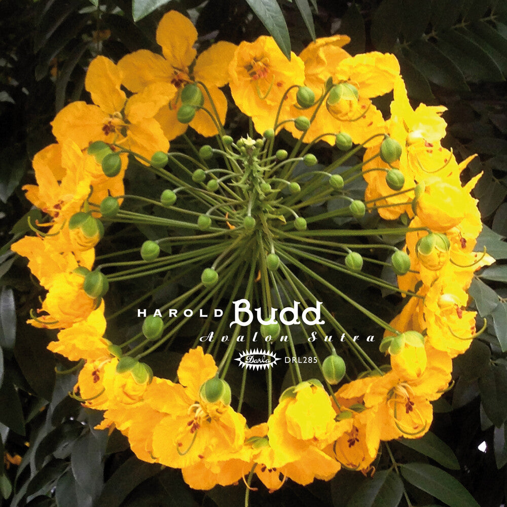 Harold Budd - Avalon Sutra [3xLP + CD]