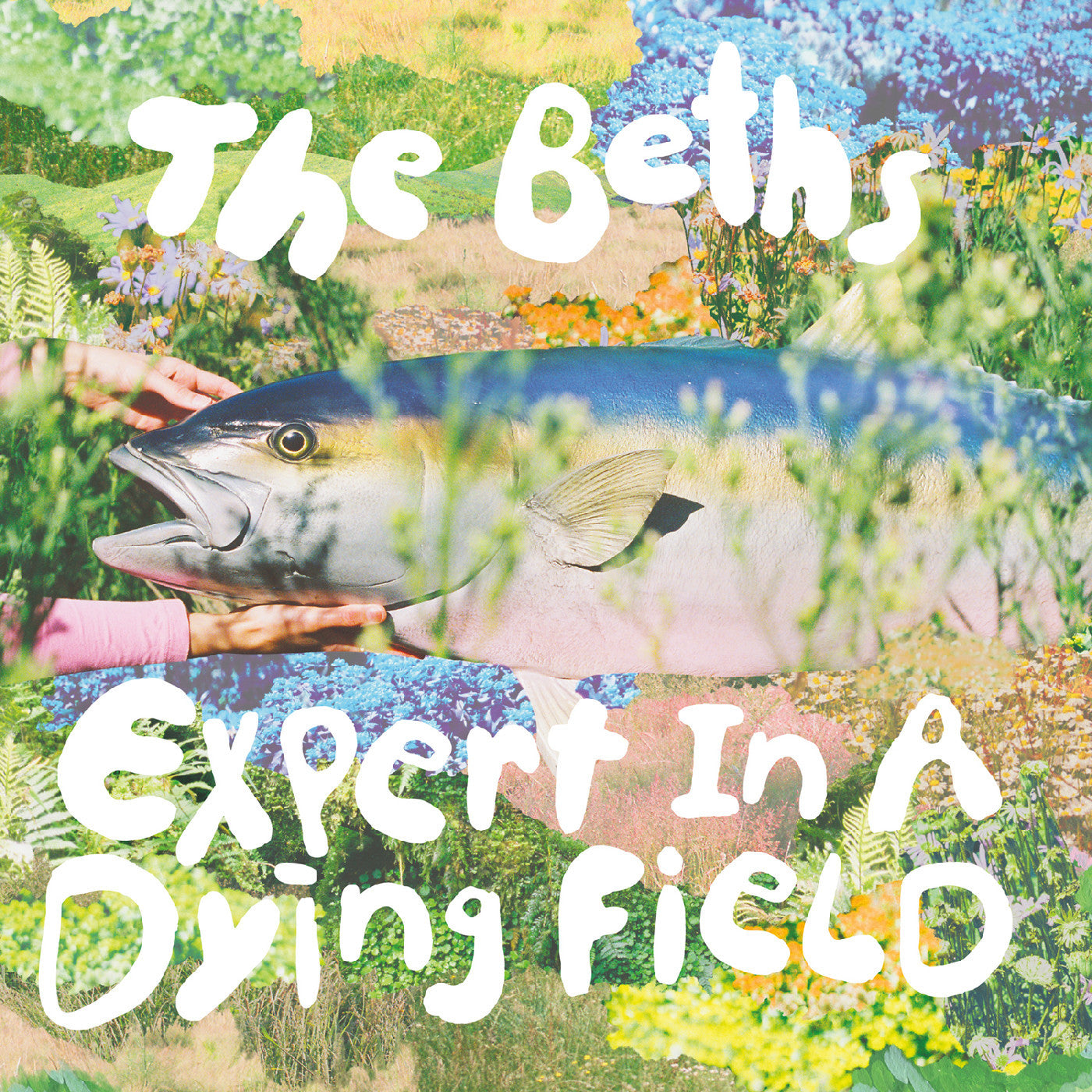 Beths, The - Expert in a dying field [LP - "Head In The Clouds" Blue Eco-Mix]