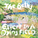 Beths, The - Expert in a dying field [LP - "Head In The Clouds" Blue Eco-Mix]