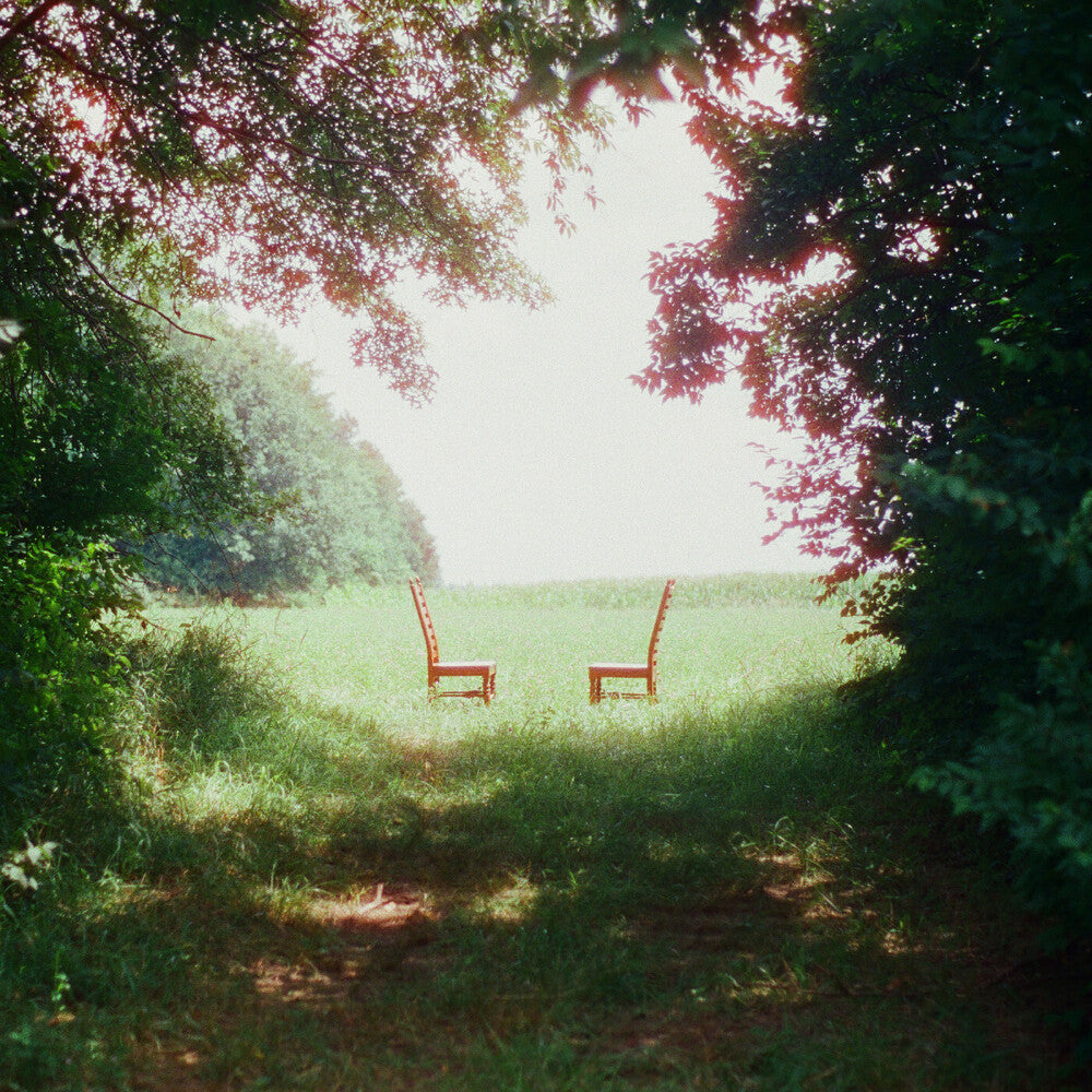 Ratboys - Singin' to an Empty Chair [2xLP - Green/Brown Marble]