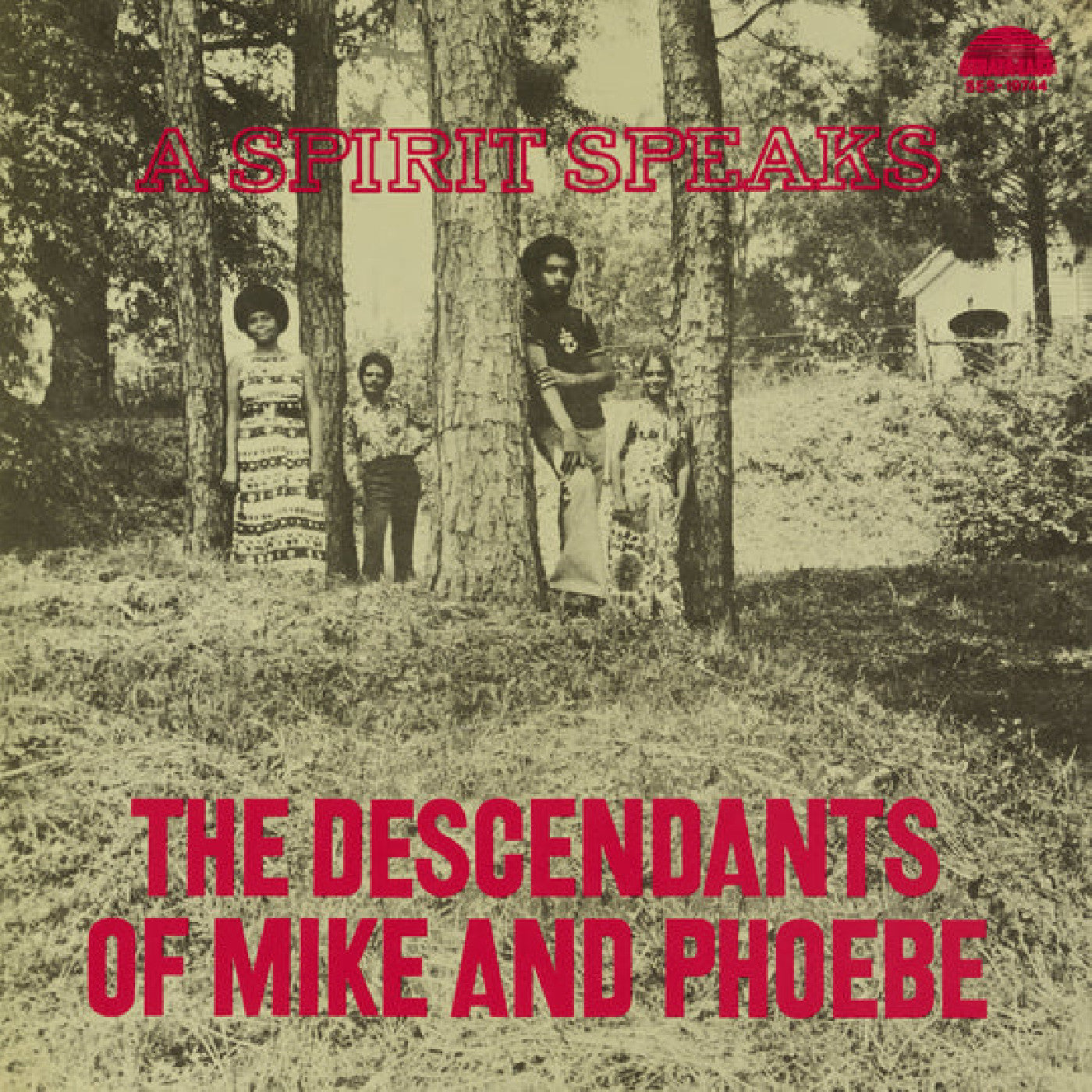 Bill Lee Descendants of Mike and Phoebe, The - A Spirit Speaks (Deluxe Edition) [LP]