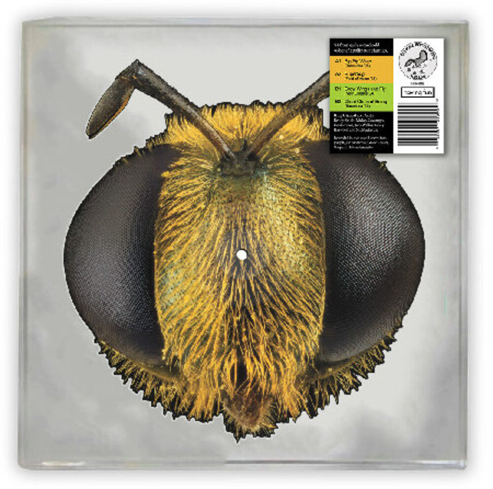 King Gizzard & The Lizard Wizard - Big Fig Wasp [12" - Shaped Disc]