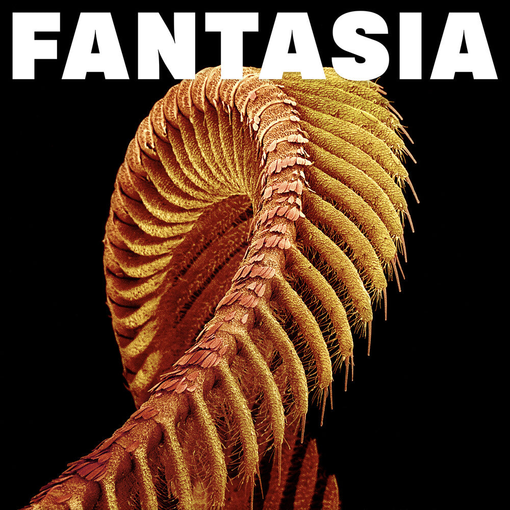 Slift - Fantasia [2xLP - Yellow]