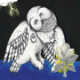 Songs: Ohia - The Magnolia Electric Co. [CD]