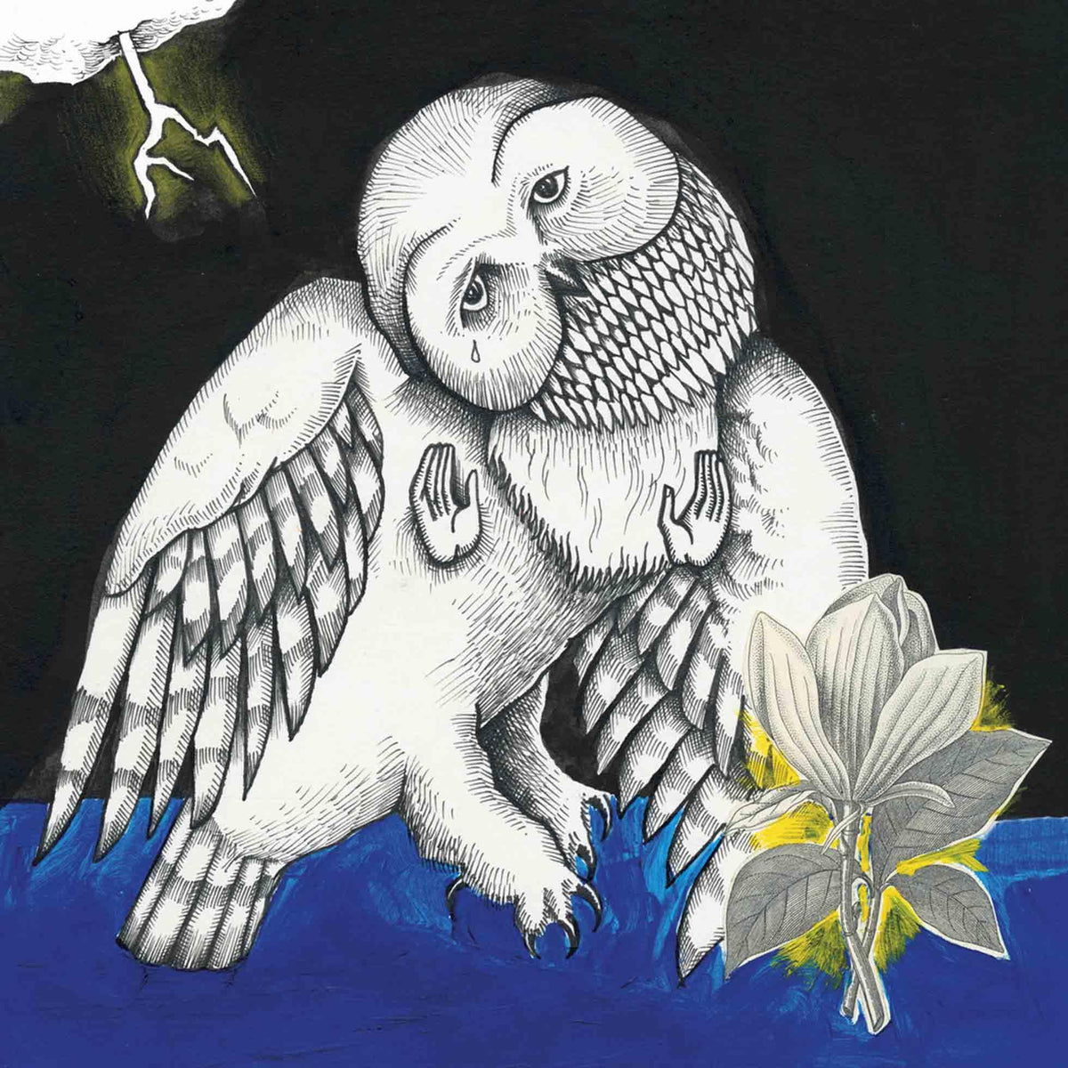 Songs: Ohia - The Magnolia Electric Co. [CD]