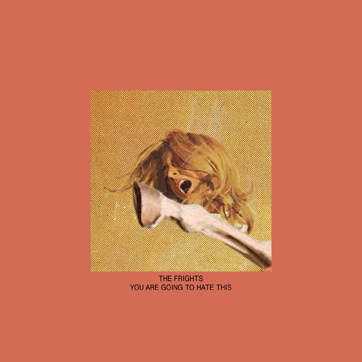 Frights, The - You Are Going To Hate This [LP - Pepperoni Burst]