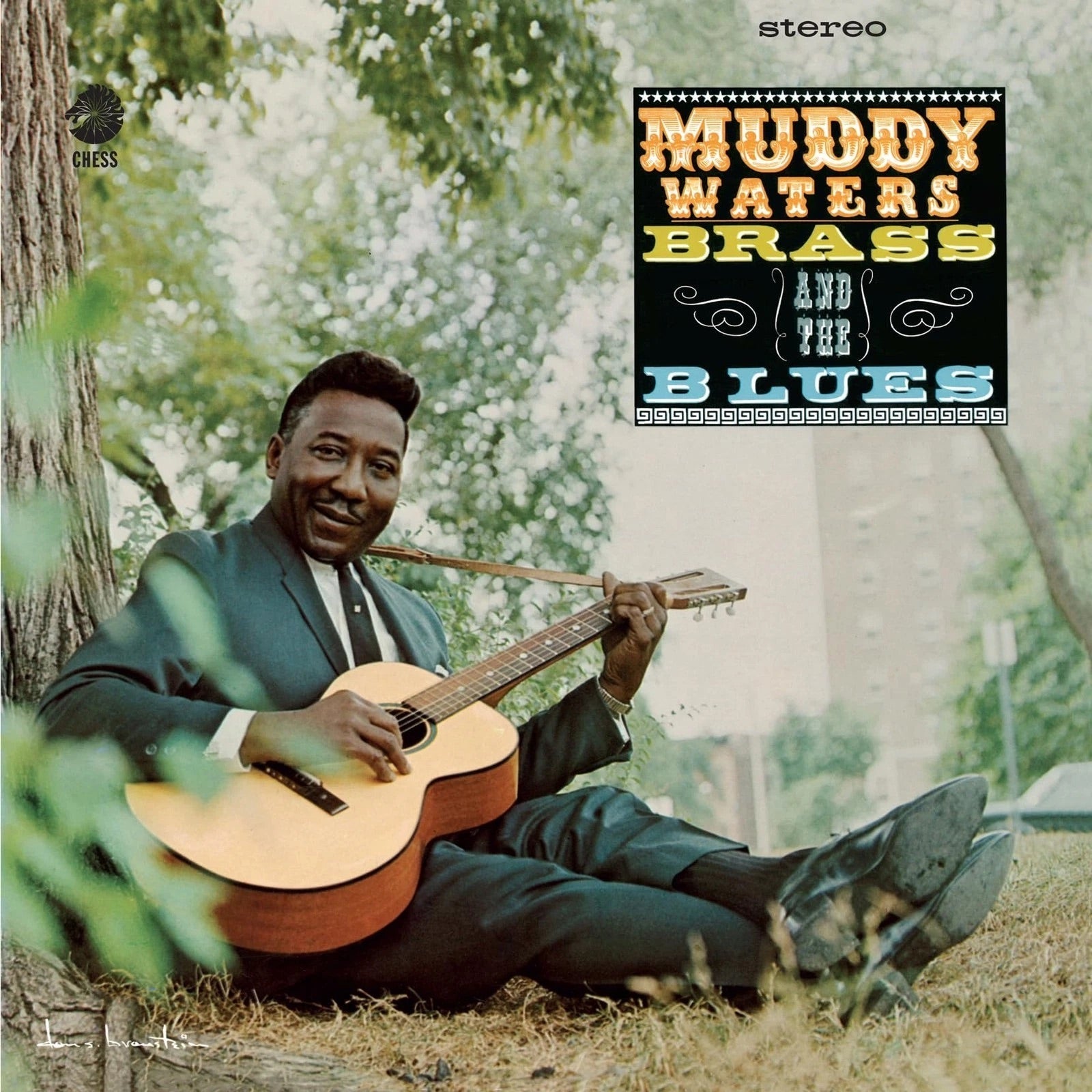 Muddy Waters - Brass and the Blues (Chess Acoustic Sounds) [LP]