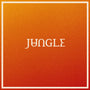 Jungle - Volcano [LP]